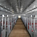 四川宜賓康諾養豬場采用的萬春機械母豬產床（未安裝母豬料槽時）