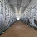 四川宜賓康諾養豬場采用的萬春機械母豬產床